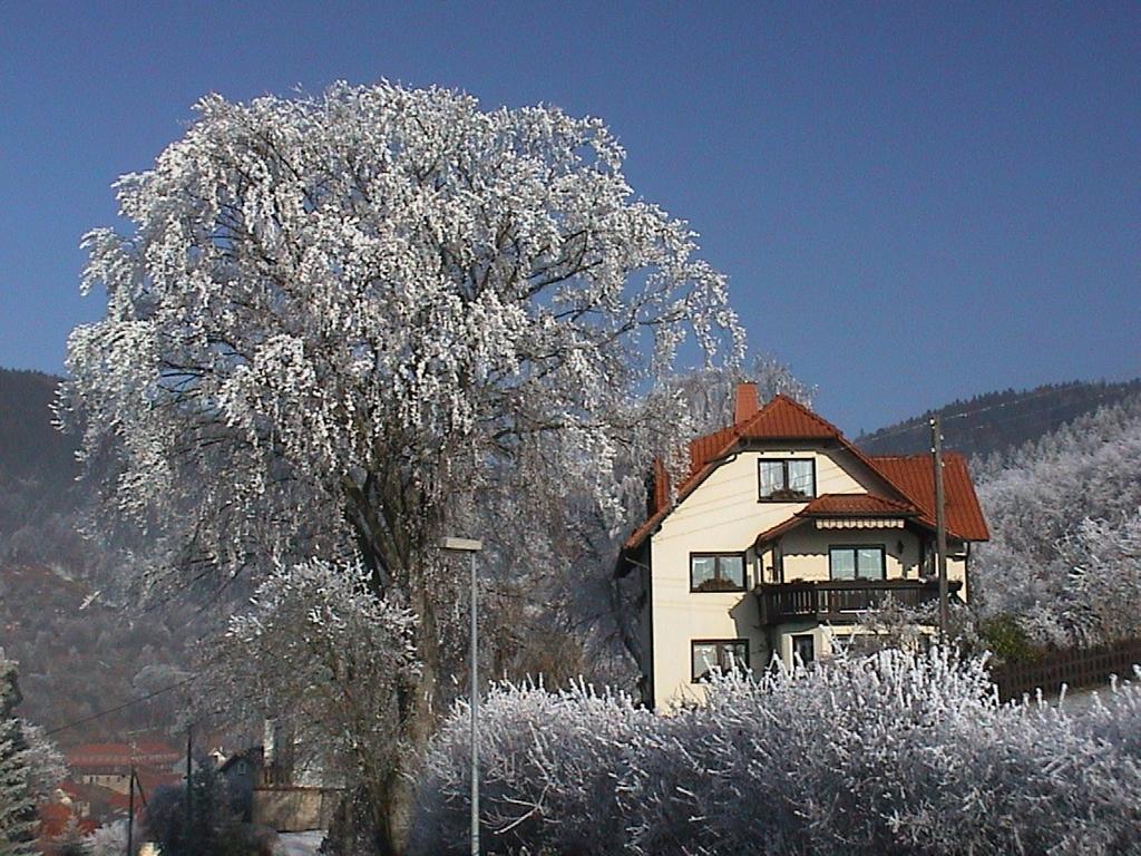 Ferienwohnung Panorama Rauenstein エクステリア 写真