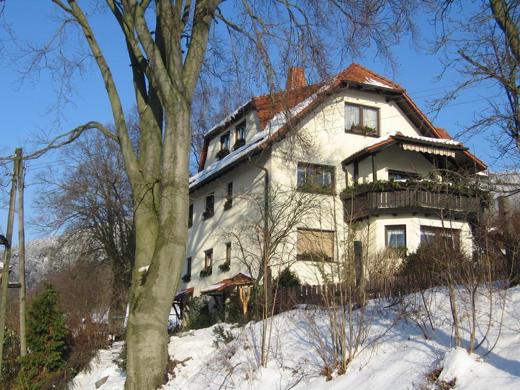 Ferienwohnung Panorama Rauenstein エクステリア 写真