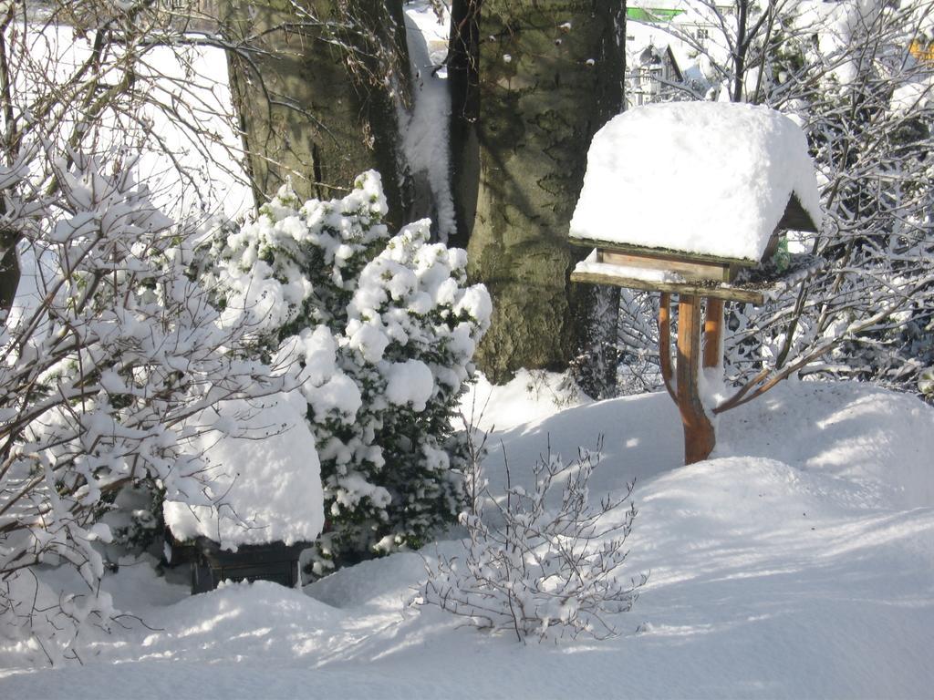 Ferienwohnung Panorama Rauenstein エクステリア 写真