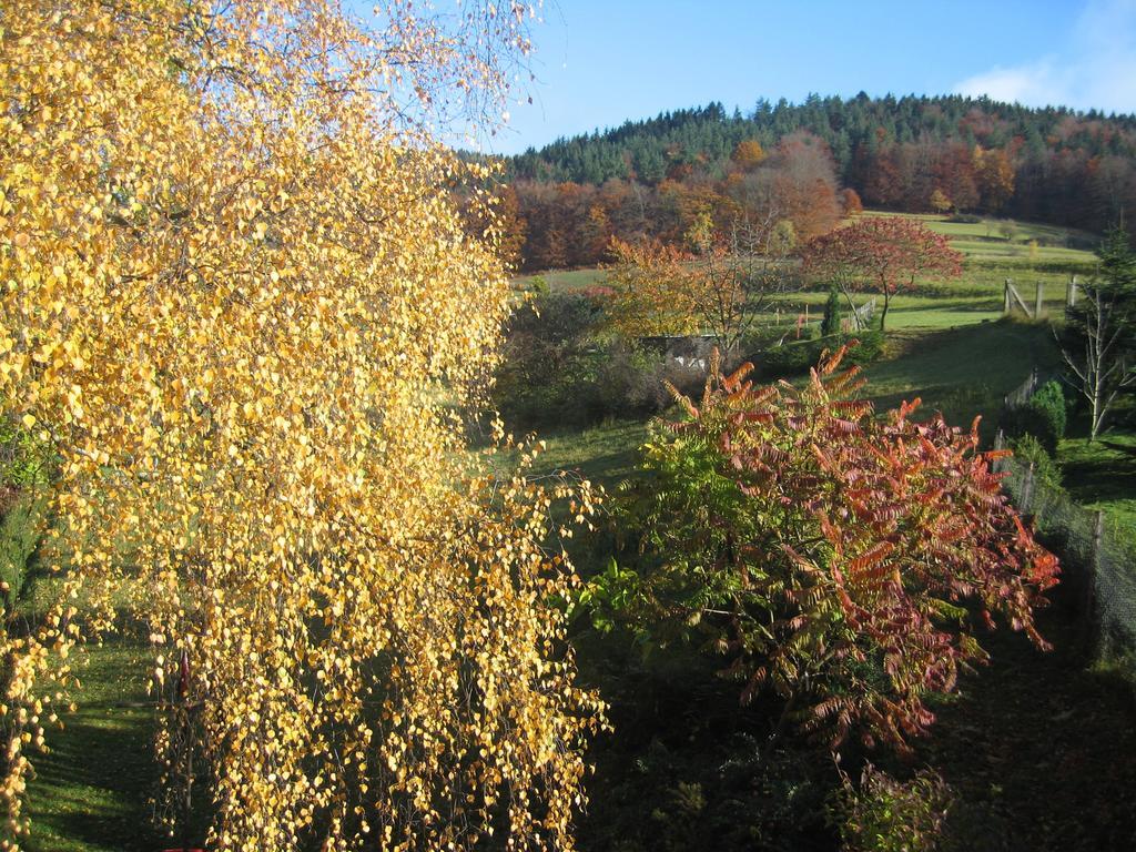 Ferienwohnung Panorama Rauenstein エクステリア 写真