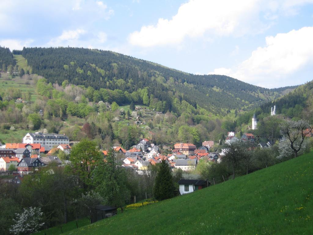 Ferienwohnung Panorama Rauenstein エクステリア 写真