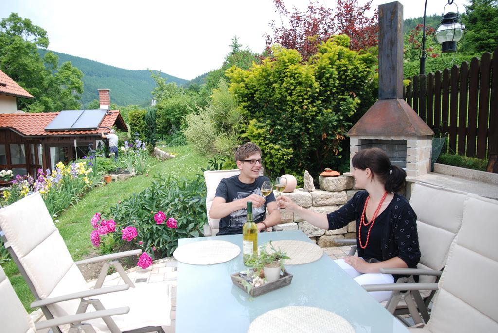 Ferienwohnung Panorama Rauenstein エクステリア 写真