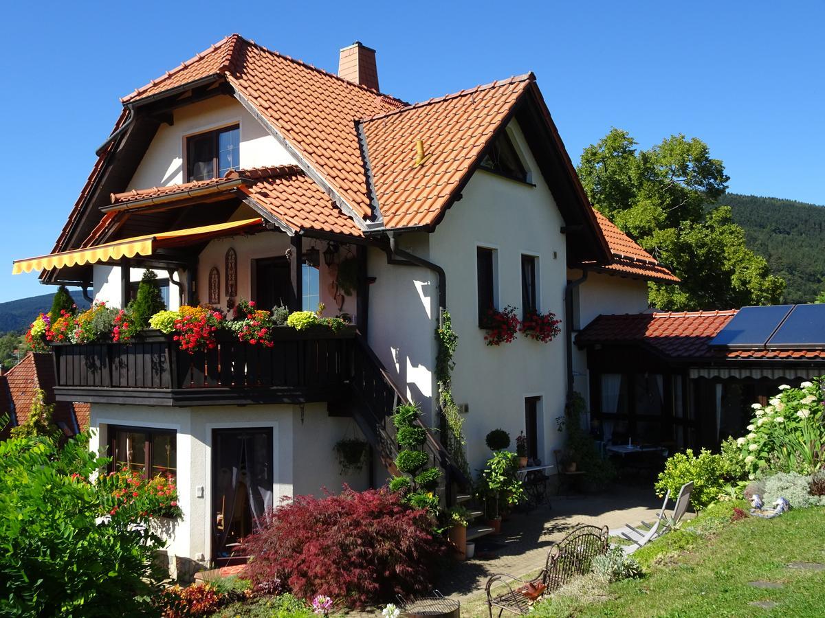 Ferienwohnung Panorama Rauenstein エクステリア 写真