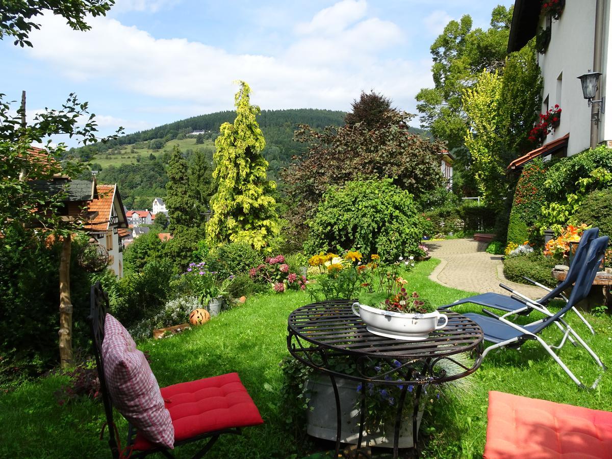 Ferienwohnung Panorama Rauenstein エクステリア 写真